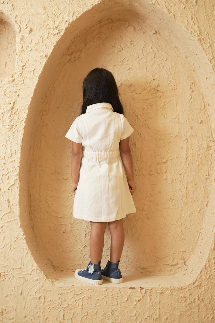 Twill Skater Dress